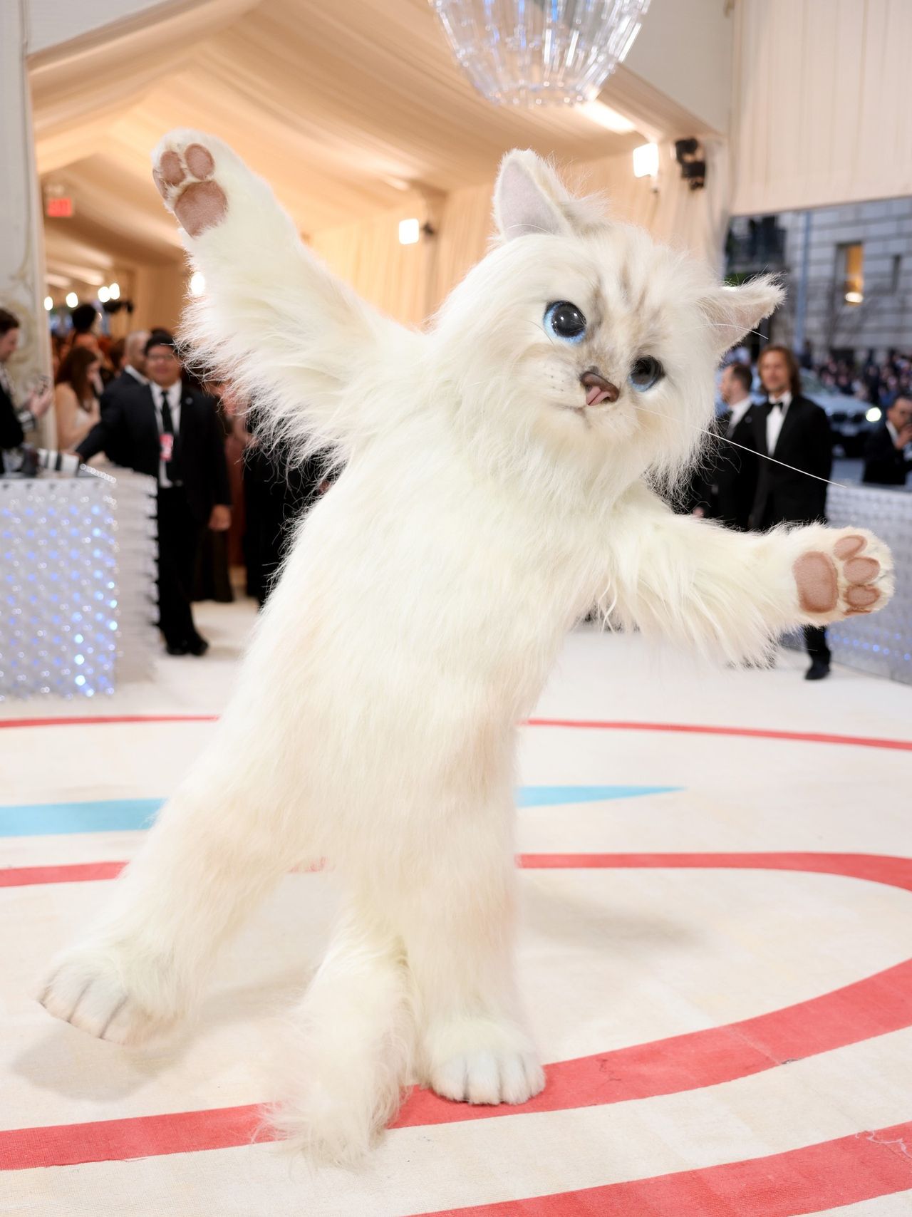 Jared Lato ดาราฮอลลีวู้ดสวมชุดเป็น Choupette ในงาน Met Gala 2023