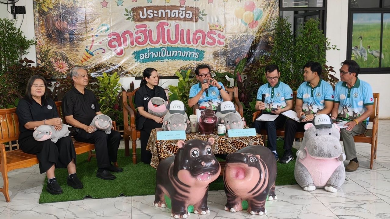 พิธีประกาศชื่อลูกฮิปโปแคระ สวนสัตว์โคราช