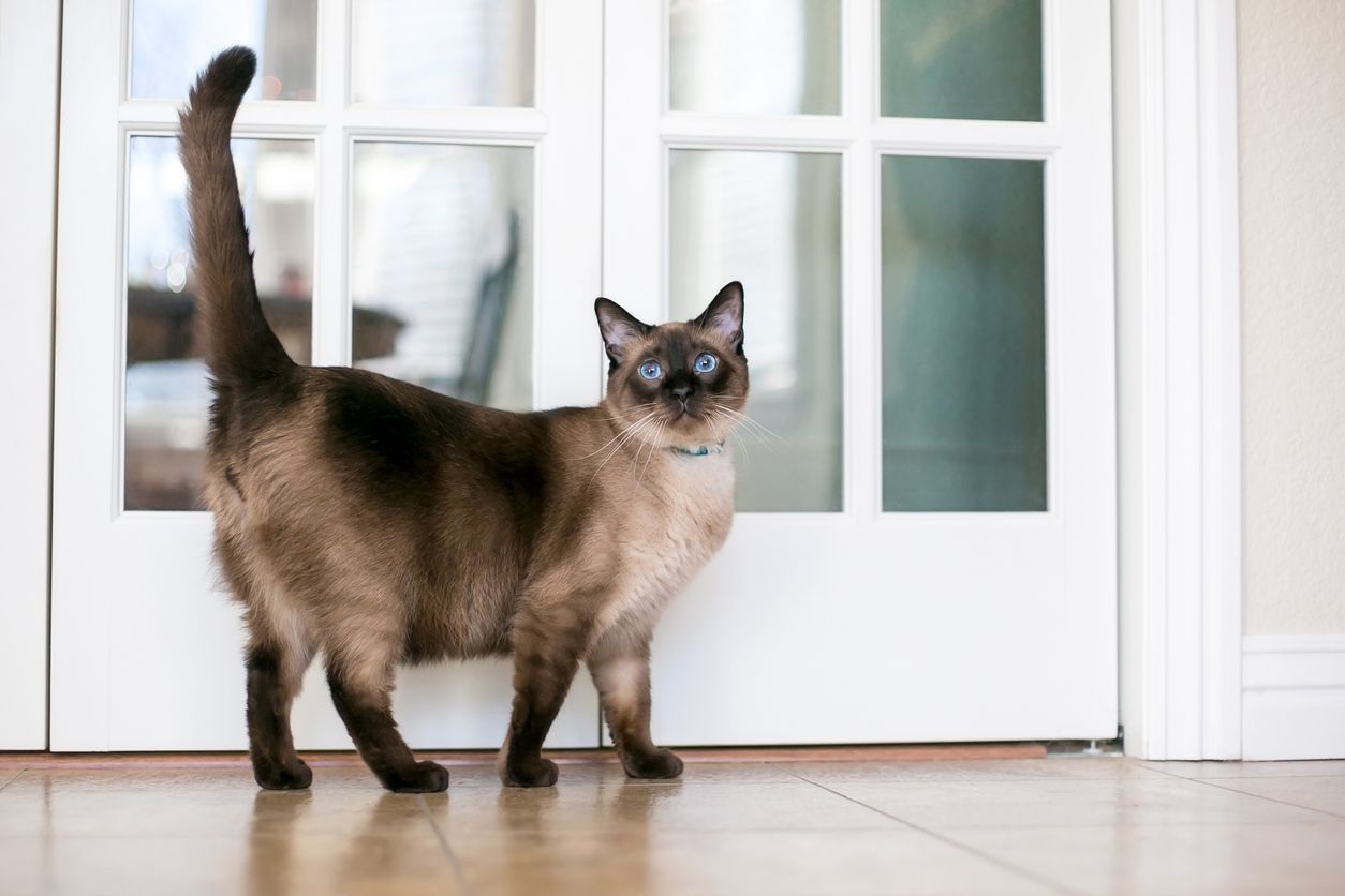 ภาพจาก iStock