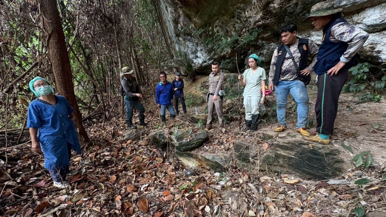 ชาวบ้านเข้าป่าหาเห็ดเผาะ ช็อกพบโครงกระดูกพระธุดงค์