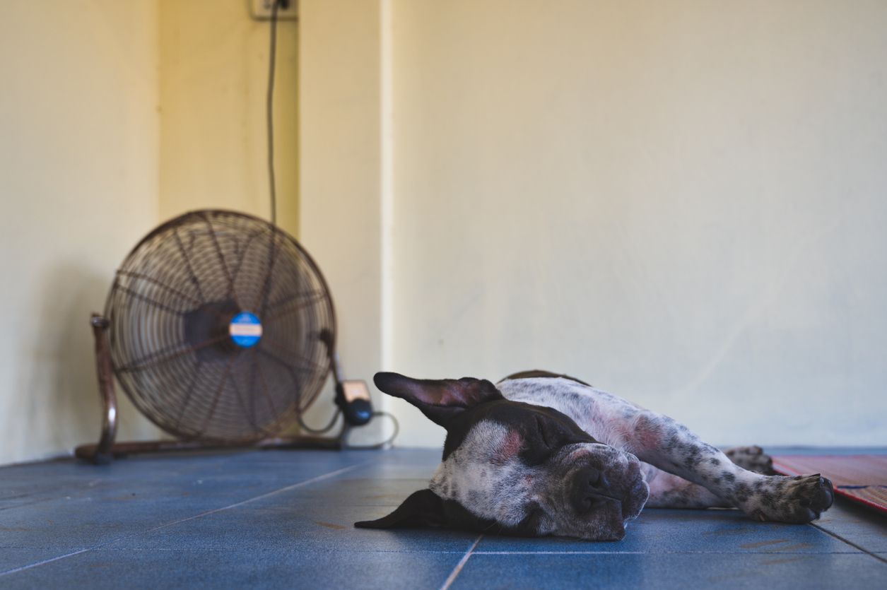 ภาพจาก iStock