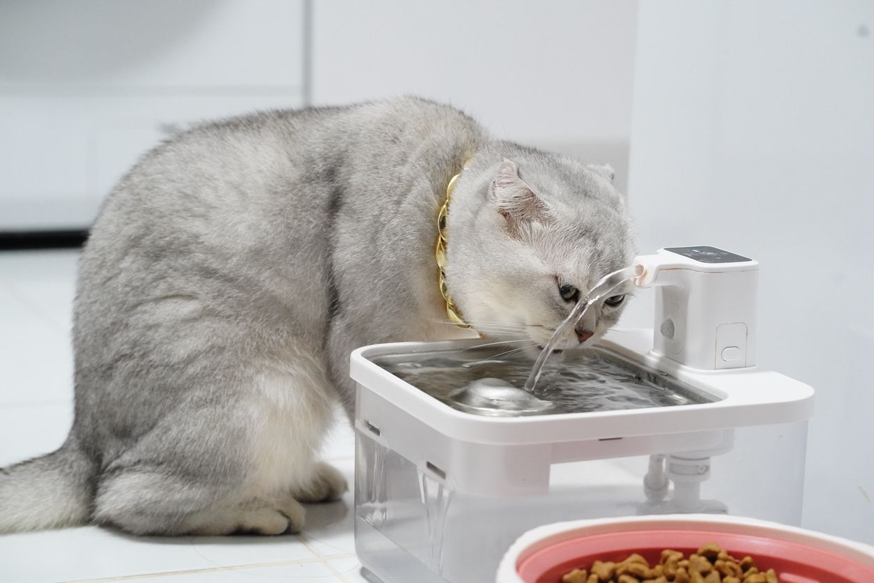 ภาพจาก iStock