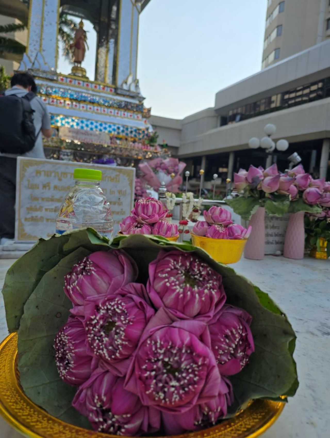 บูชาพระแม่ลักษมี ใช้ดอกบัวสีชมพู 8 ดอก