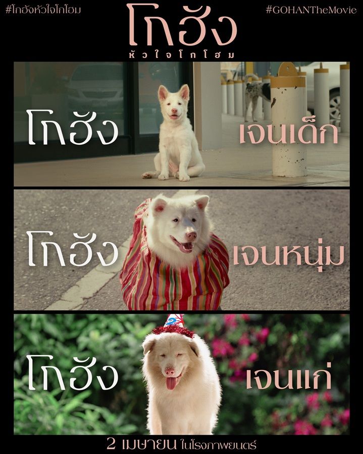 ภาพจากเพจ GDH