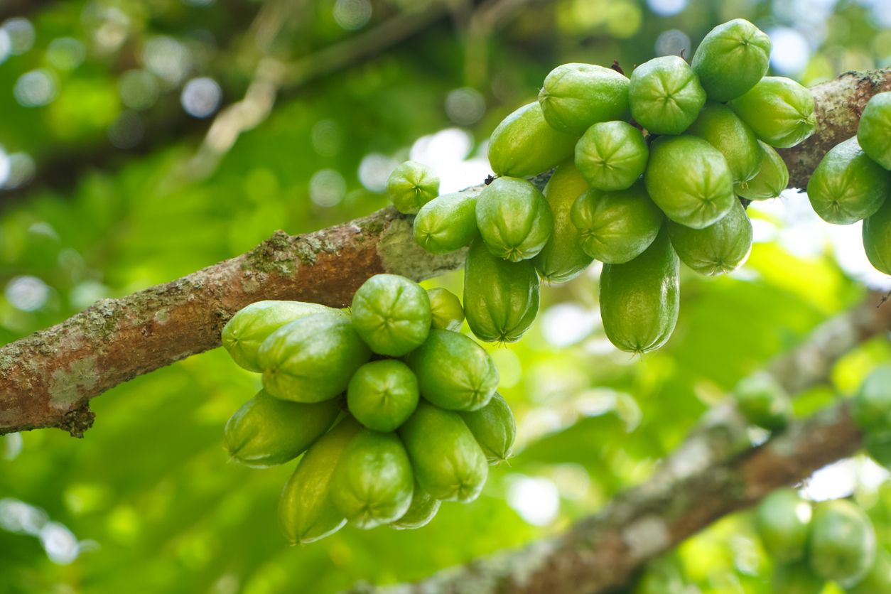 ภาพจาก iStock