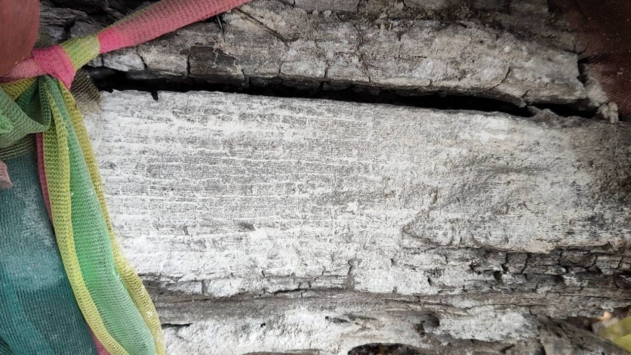 เลขเด็ดจากแม่ตะเคียนทอง