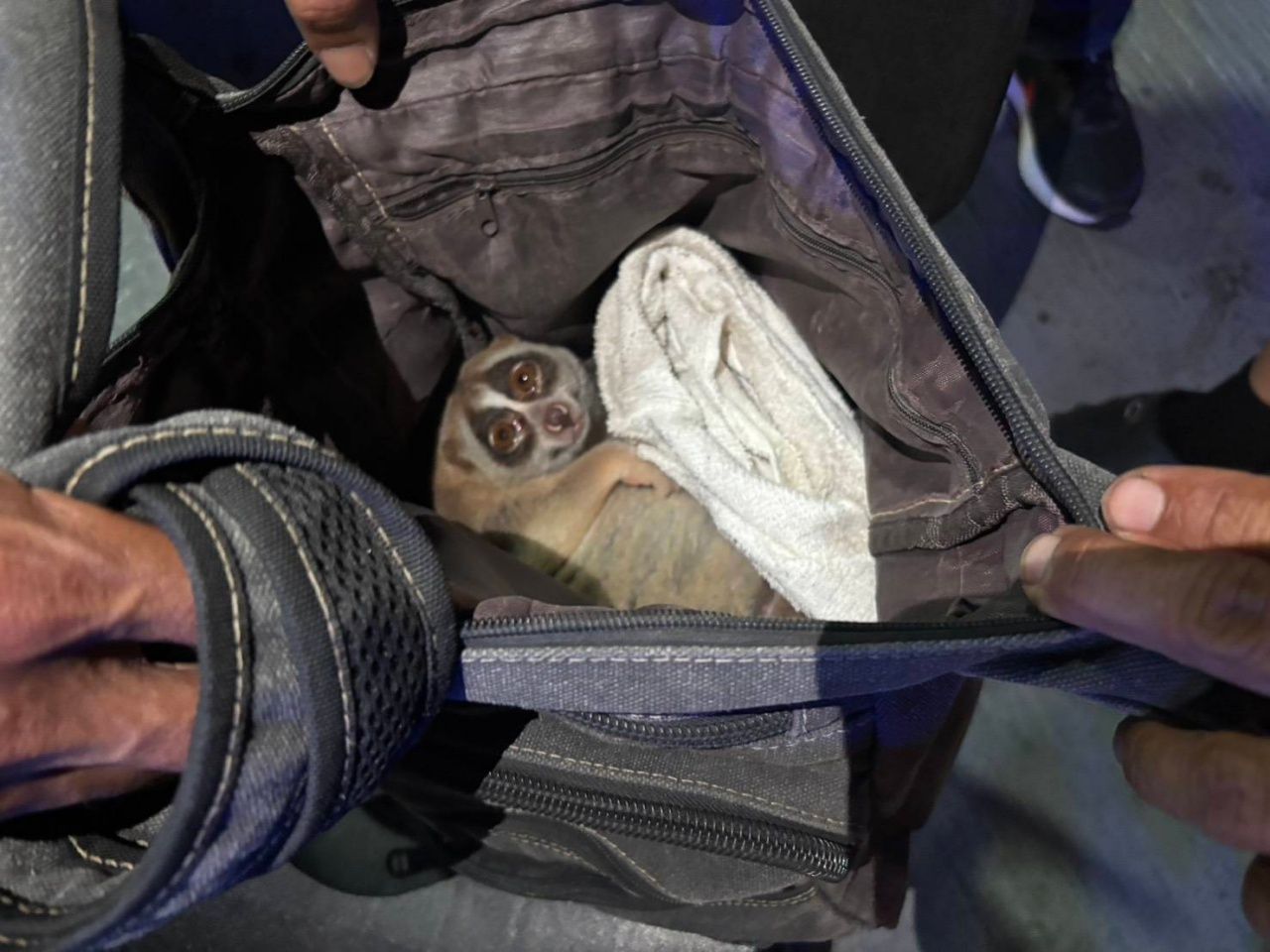 ภาพอาวุธที่พบกับผู้ต้องหา