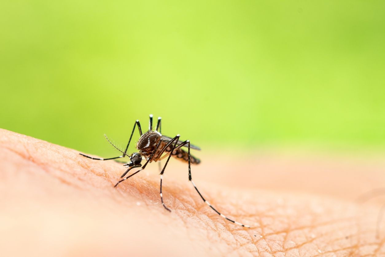 ภาพจาก iStock