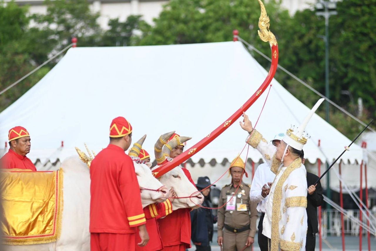 พืชมงคล 2569: สิ่งที่คุณควรรู้ — image 3