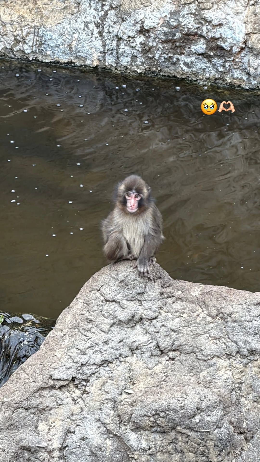 ที่มาของภาพ : IG@lalalalisa_m