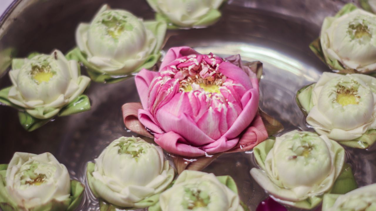 วันธงชัยเดือนมีนาคม 2569 เช็กวันฤกษ์ดีเดือนมีนาคม เสริมสิริมงคลทุกด้าน