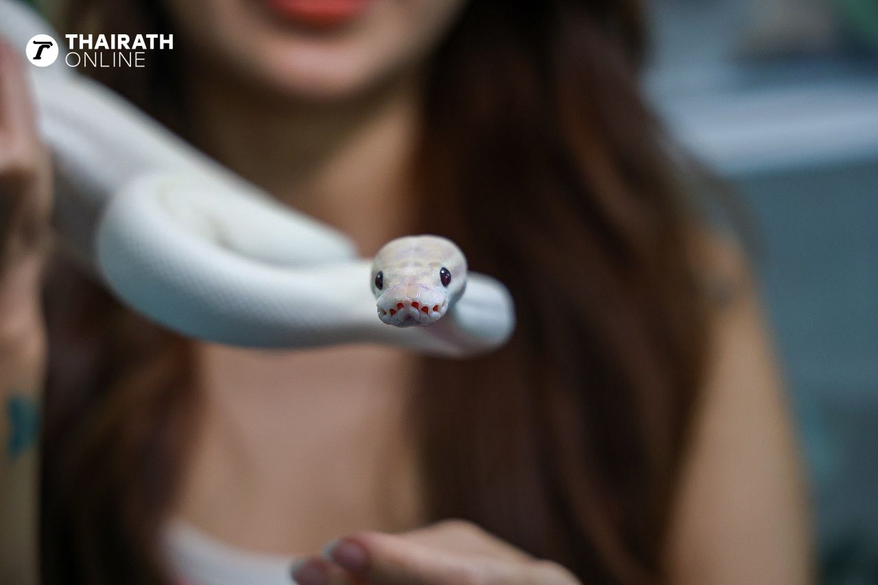 ภาพ: ศรันย์ พงษ์สวัสดิ์