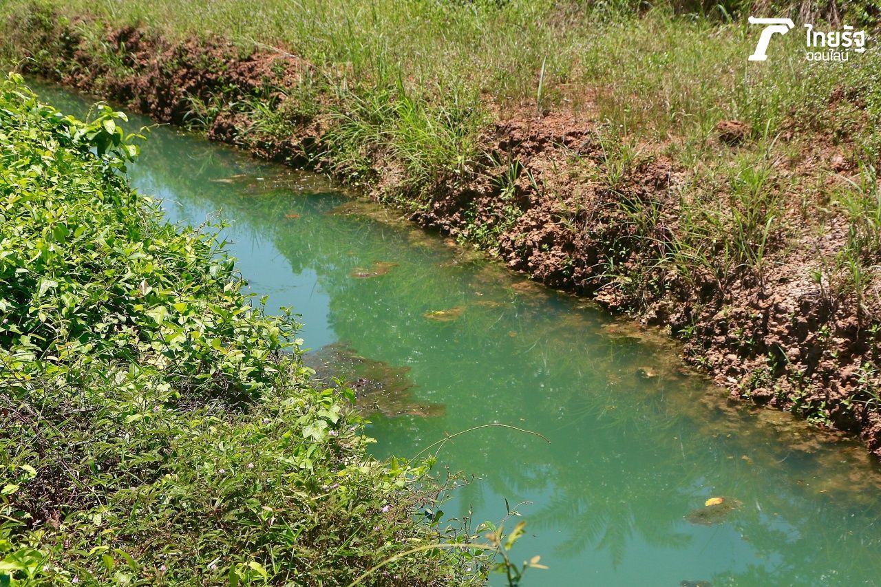 น้ำจากธรรมชาติที่หล่อเลี้ยงผลไม้ทั้งสวน น้ำใสแจ๋ว รอบคูน้ำคือศิลาแลง อีกหนึ่งเอกลักษณ์ที่ทำให้ผลไม้ในสวนรสชาติดีเพราะน้ำ