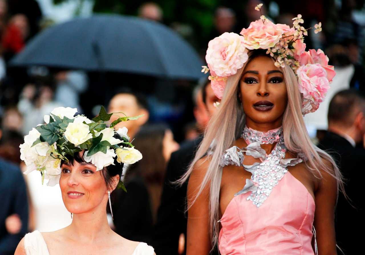  ดอกโตจัง เก็บมาจากไร่ไหนจ๊ะ 