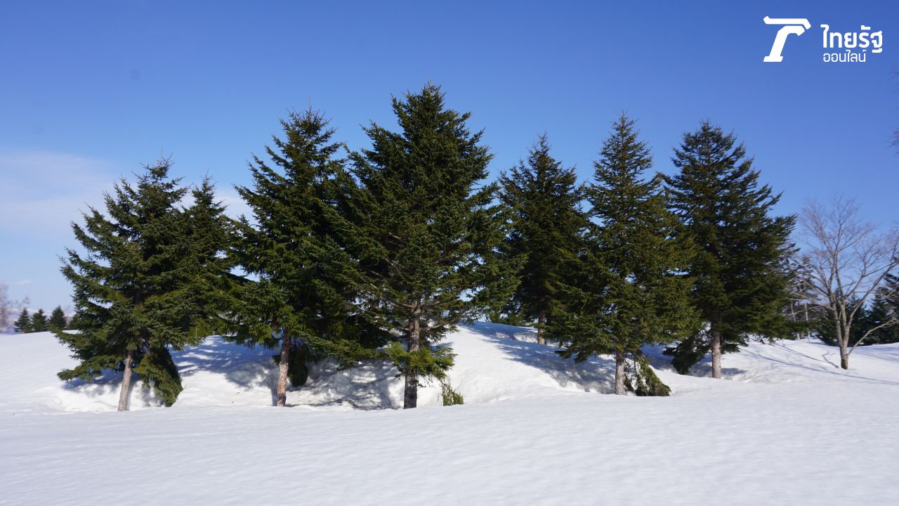 ขี่รถชมวิว ฟินมาก 