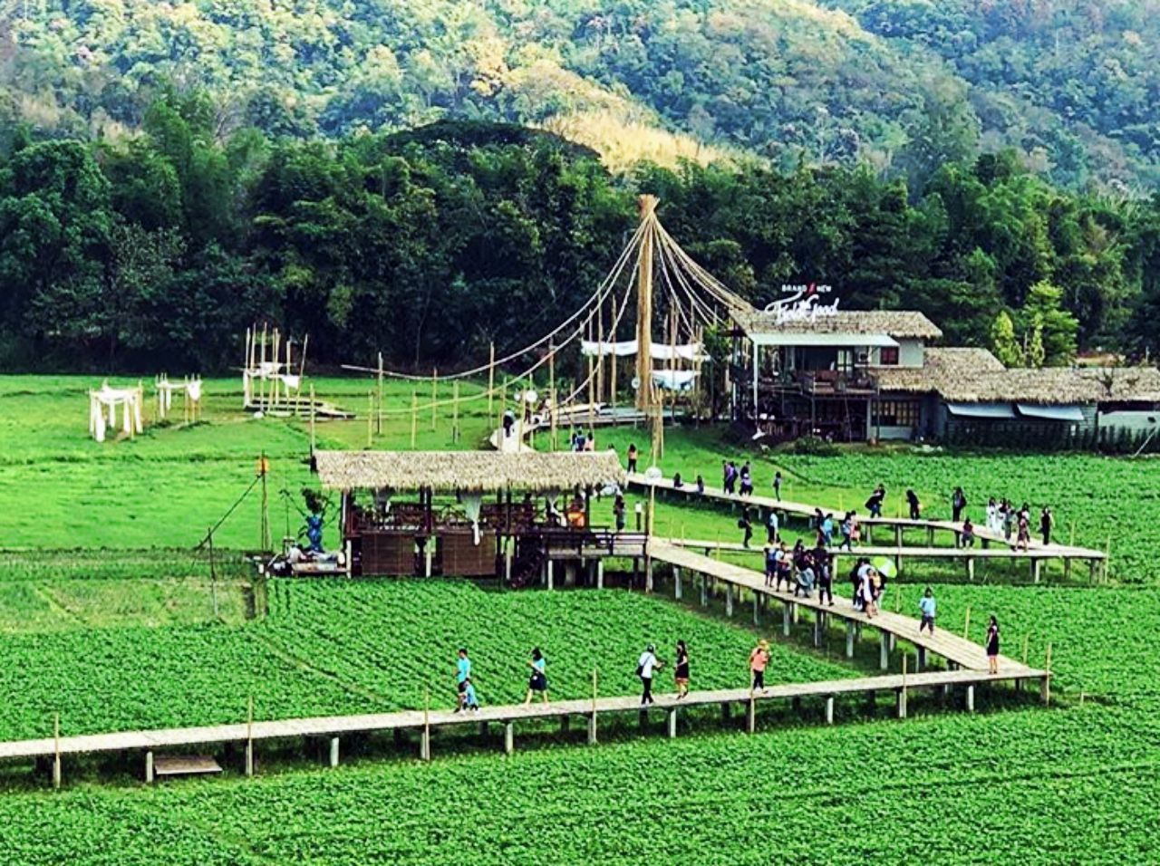 มุมไกลๆ สบายตามากๆ เลย