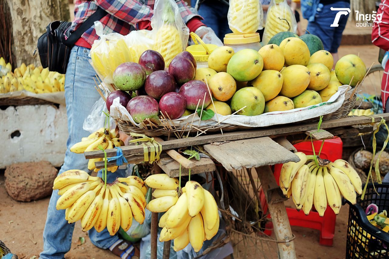 เดินดูชีวิตของคนแถวนั้น