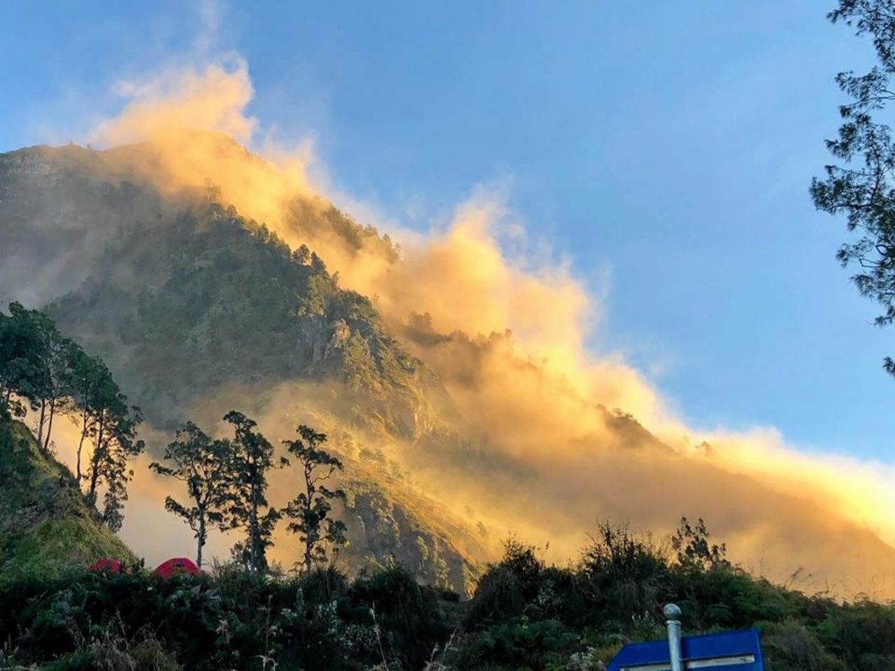 ขอบคุณภาพ จากเฟซบุ๊ก Supaporn Bangmoung 