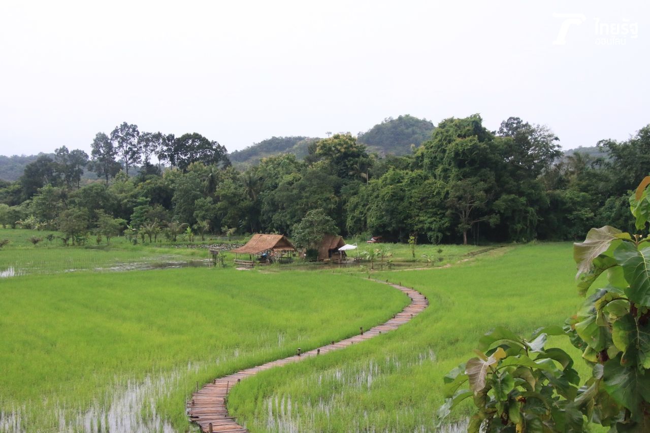 สะพานทุ่งนามุ้ย ตำบลสาริกา อำเมือง นครนายก 