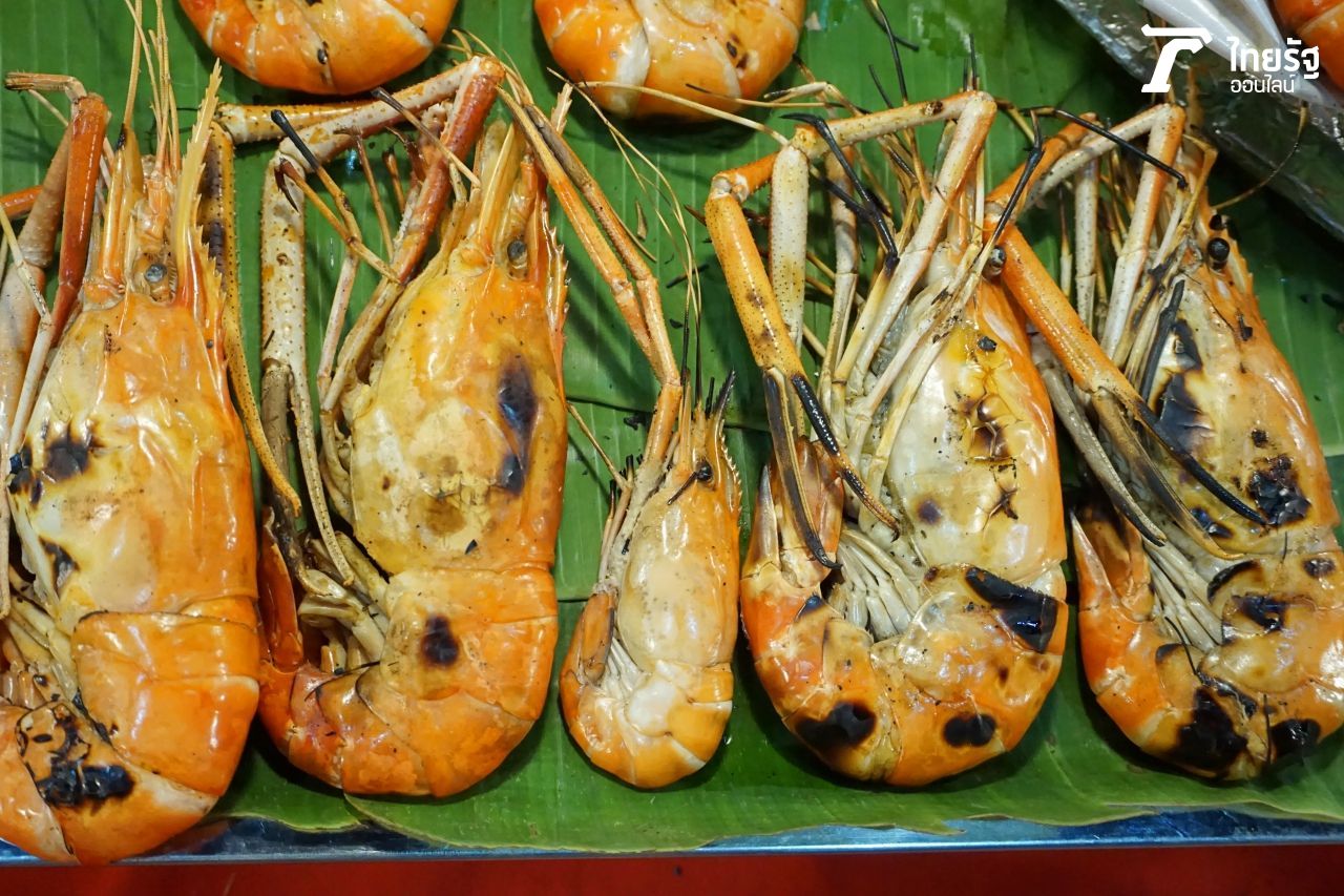 เปรียบเทียบขนาดกุ้งแม่น้ำกับกุ้งก้ามกรามธรรมดา (ตัวกลาง) ไซส์ต่างกันมาก