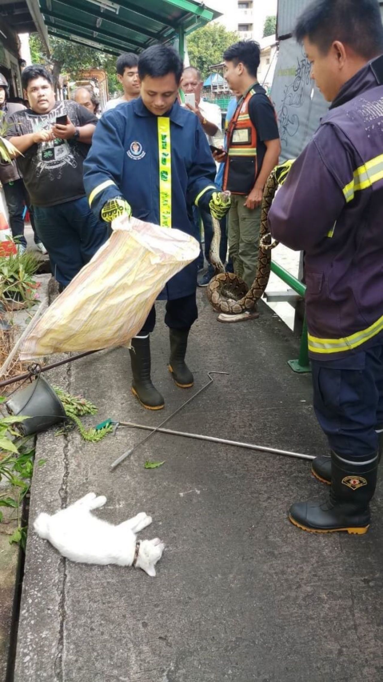 จนท.สถานีดับเพลิงพญาไท ช่วยเหลือประชาชนในชุมชนครัวเหนือ ซ.เพชรบุรี 12 จับงูเหลือมยาวประมาณ 2 ม. 