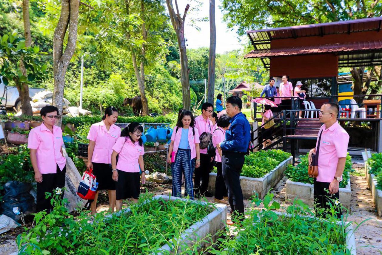 คณะศึกษาดูงานเข้าชมแปลงผักสวนครัว และการเพาะปลูกพืชต่างๆ ที่สร้างรายได้ให้กับนักเรียนและครอบครัว.
