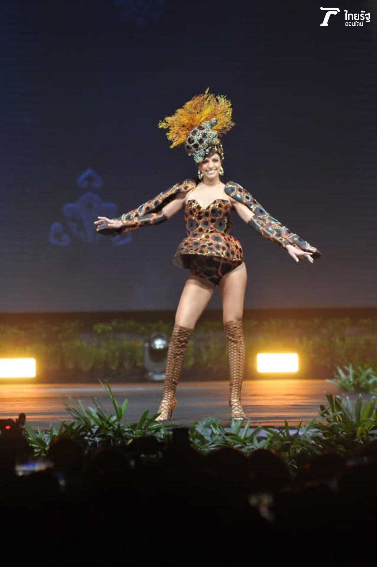 เต่าทะเลนะ ไม่ใช่เต่างอย จากโดมินิกันรีพับลิก 