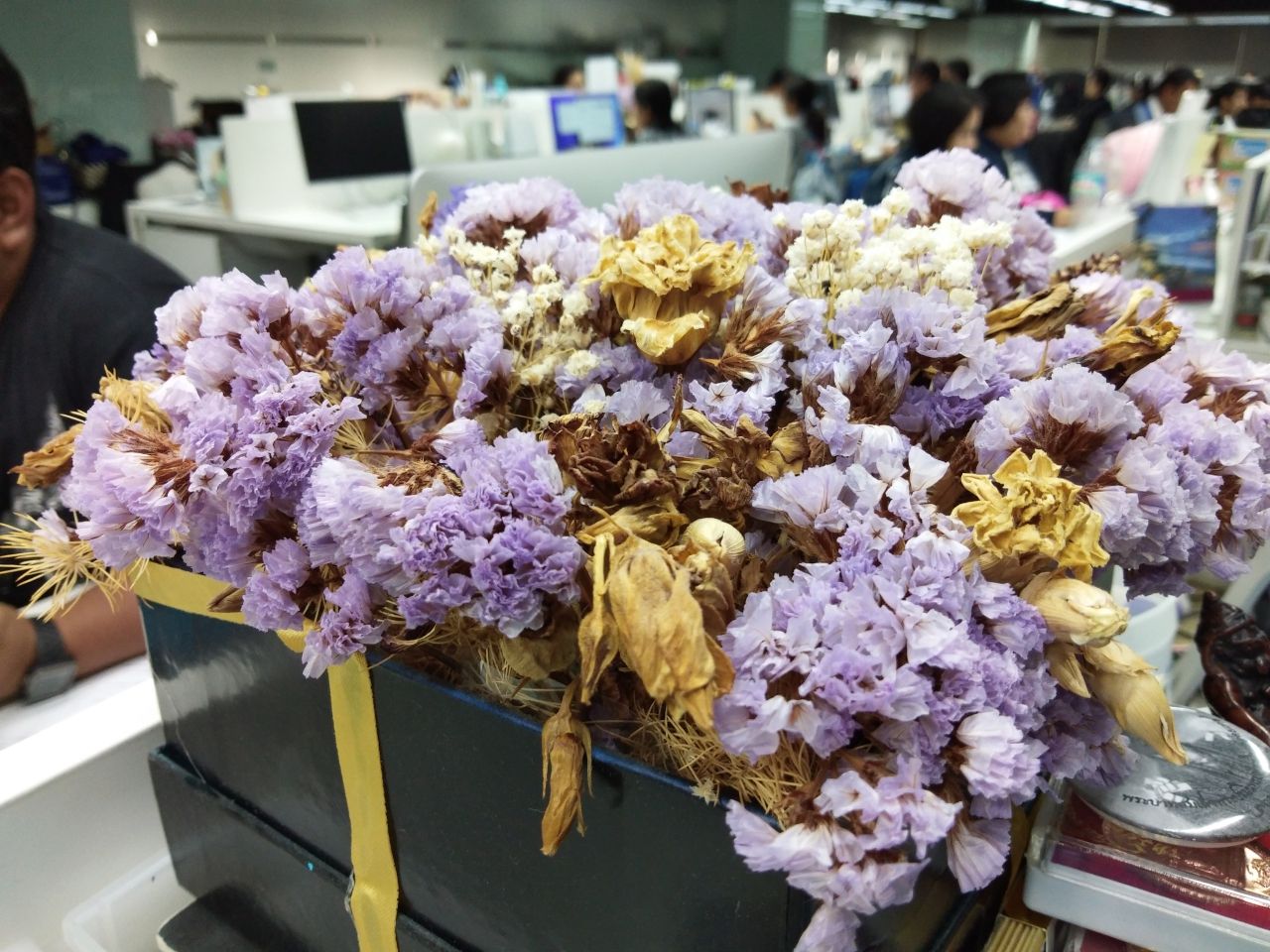 กล้องหลังก็ได้หลังเบลอสมใจ