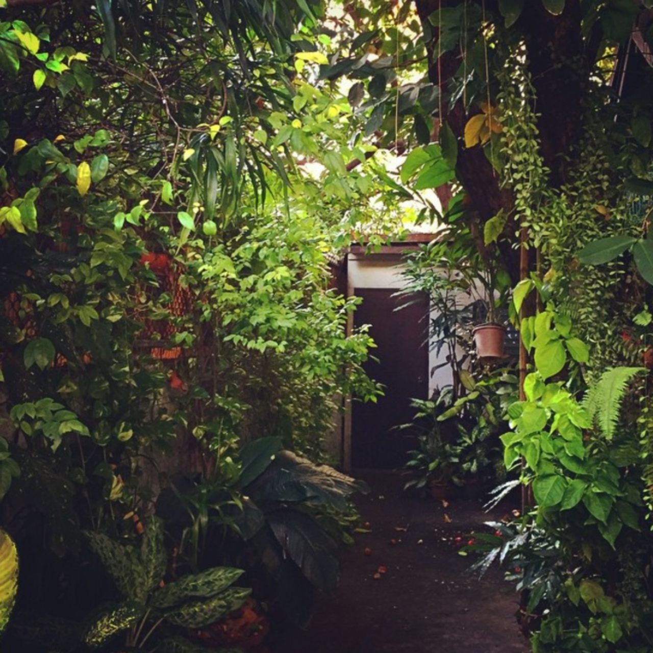 บ้านนี้มีประตูลับ