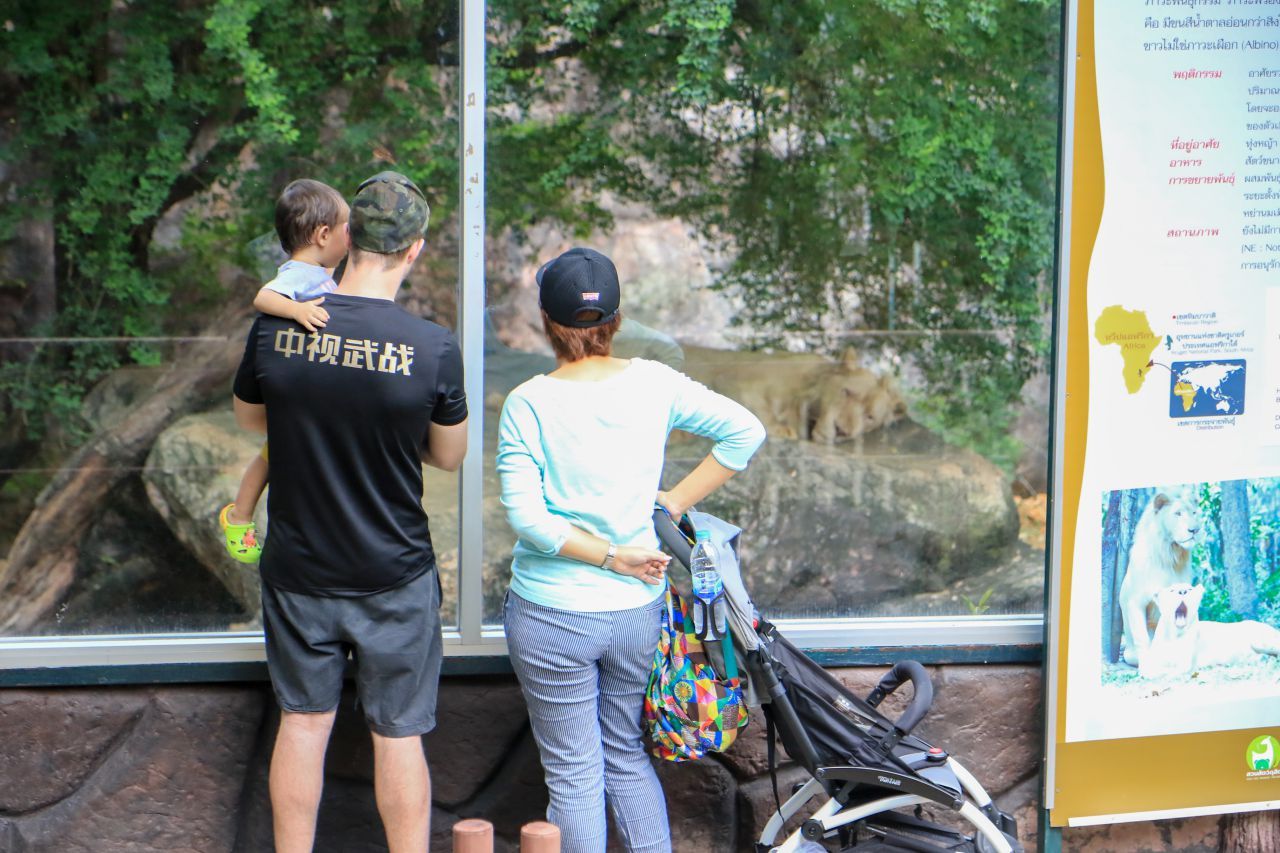 ชมสัตว์ต่างๆ