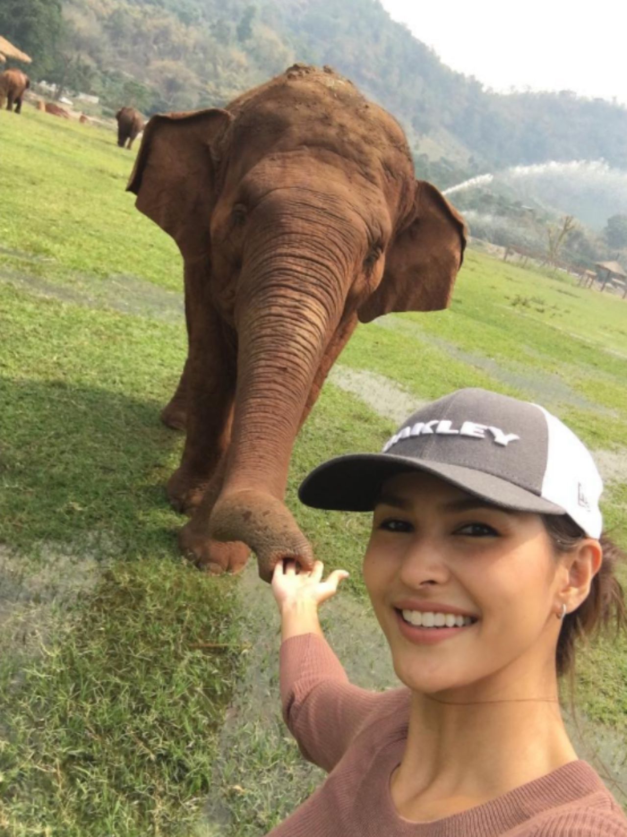 โบว์ กับแม่ช้าง 