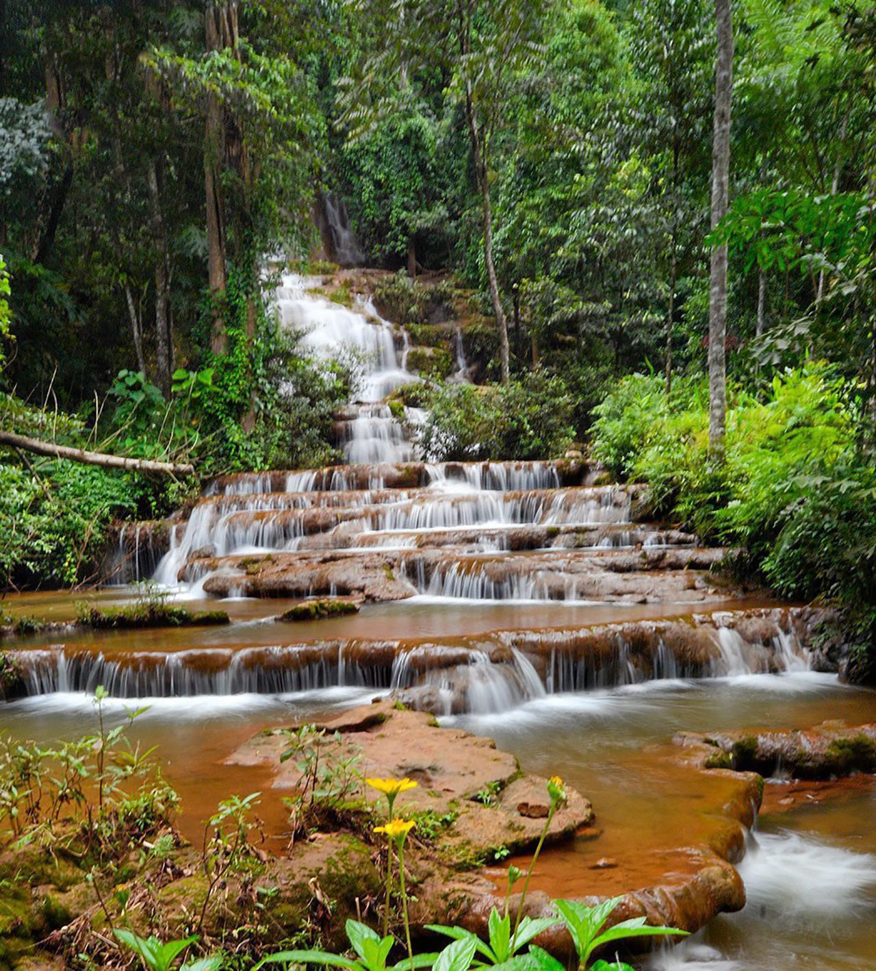 น้ำตกพาเจริญ.