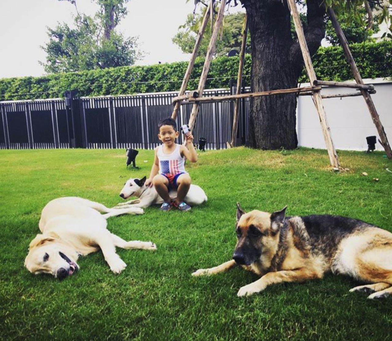 น้องภูและสหาย