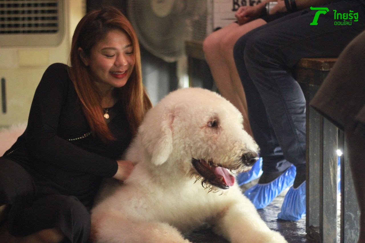 น้องๆ พร้อมให้พี่ๆ ถ่ายรูปแล้วครับ