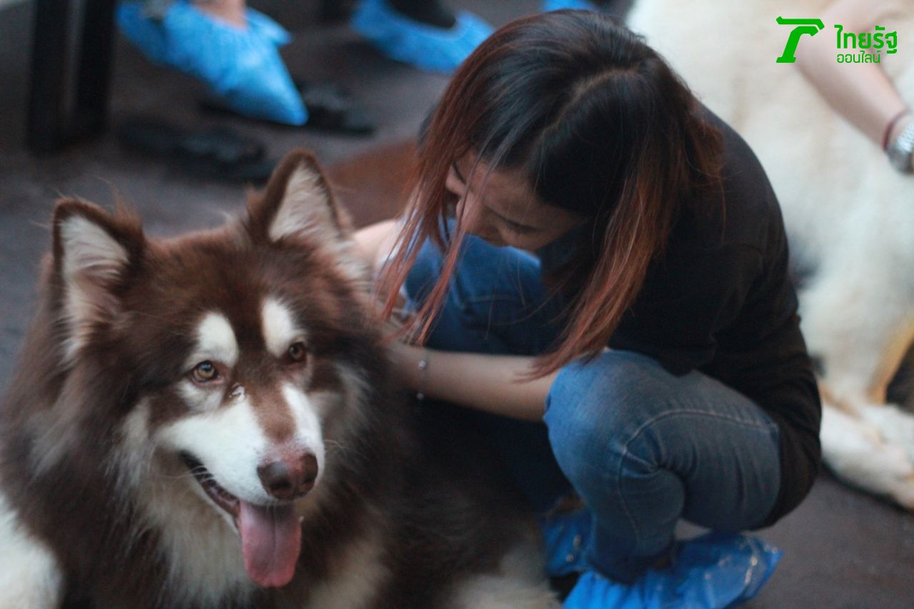 ตัวใหญ่จริงๆ