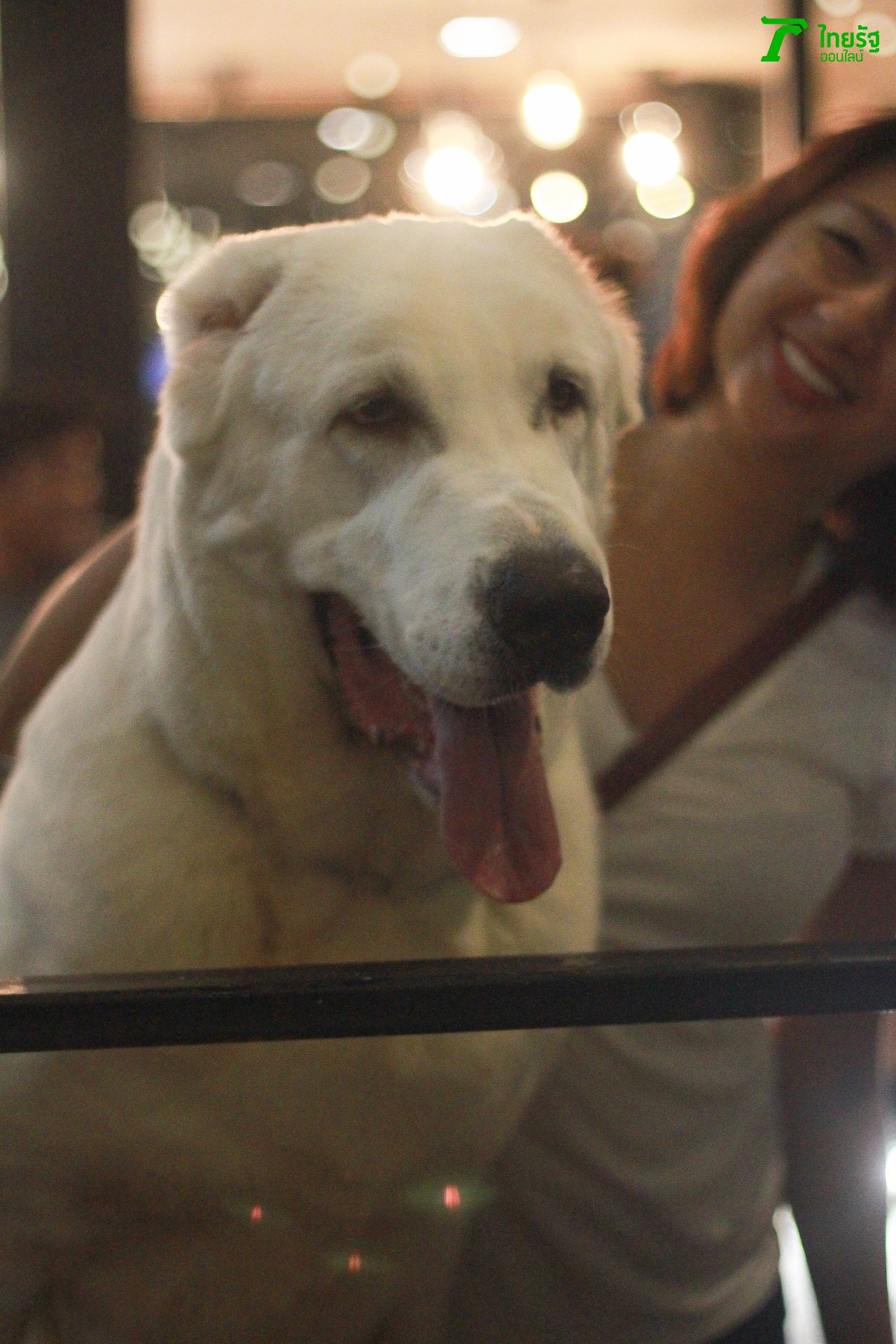 บัตเตอร์ ดาราประจำร้าน