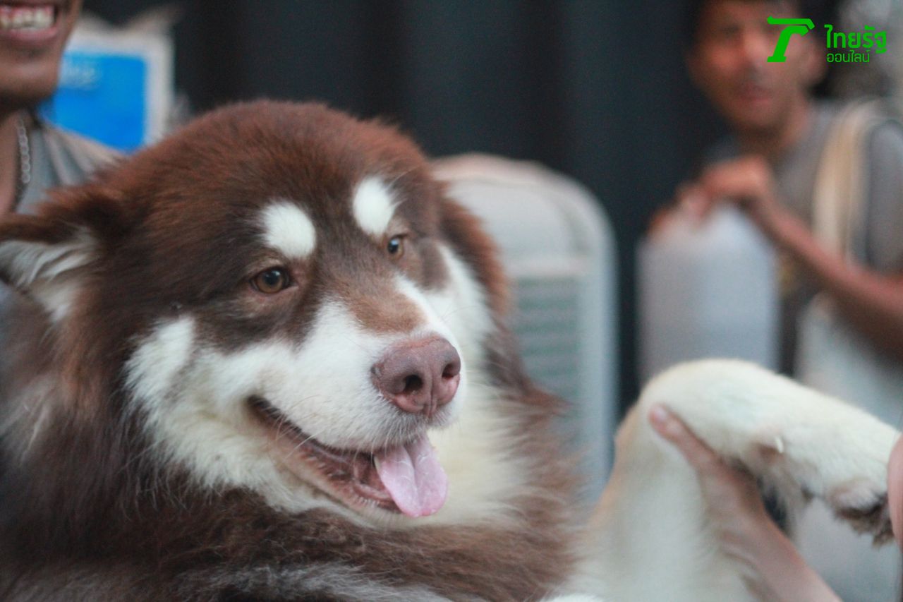 ขอมือเธอหน่อย...