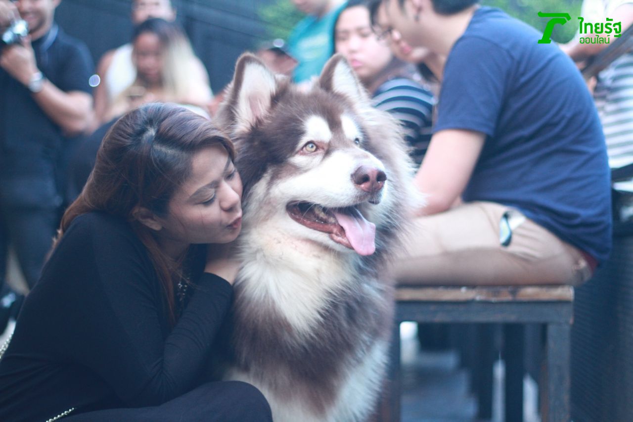 ขอกอดหน่อย