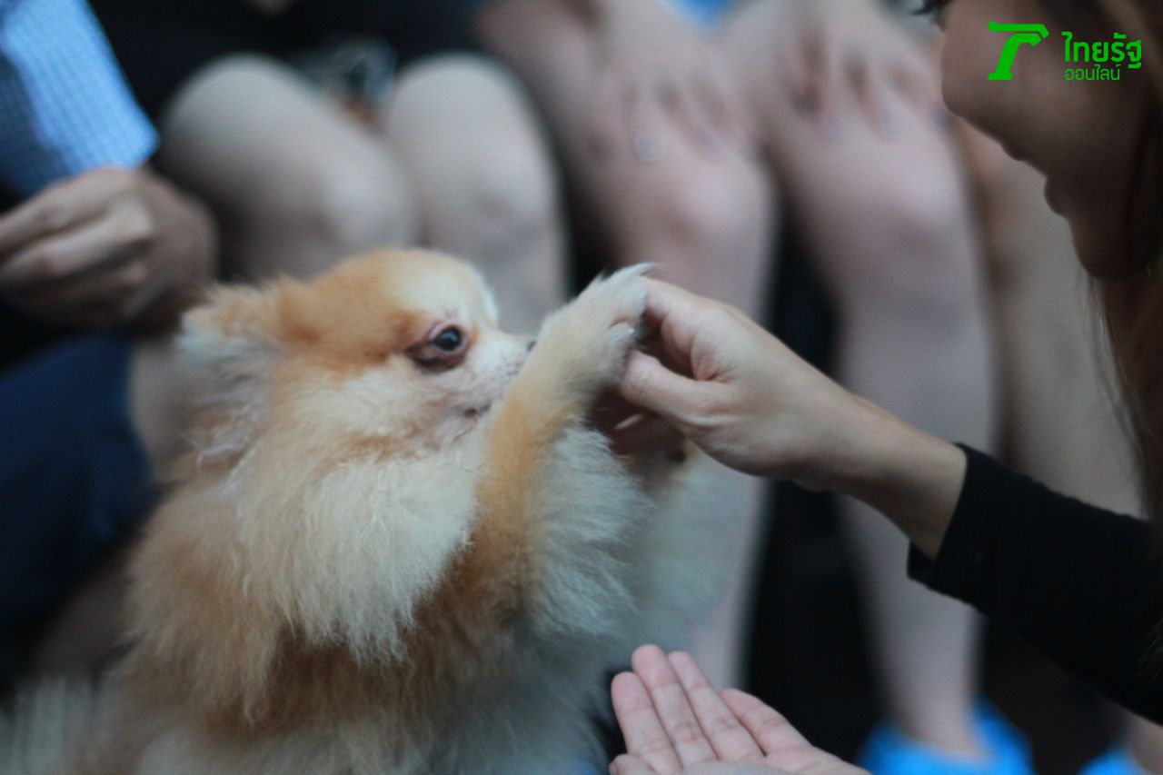 มาแตะมือกันเถอะ