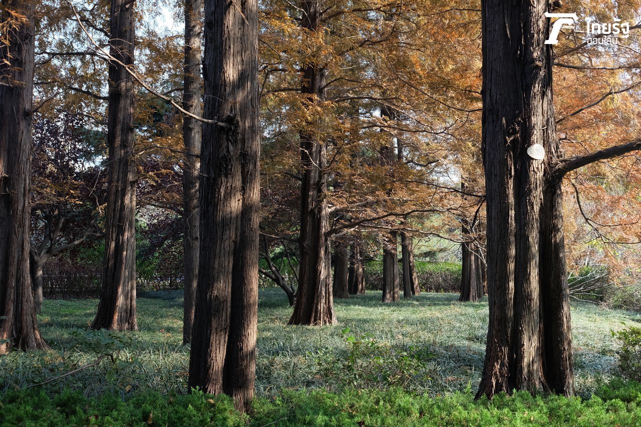 อากาศดีมากๆ 