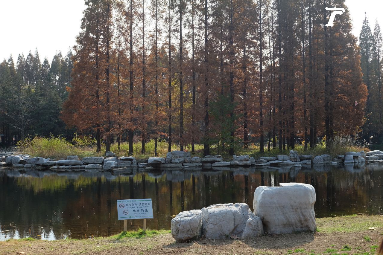 สวนจงซาน