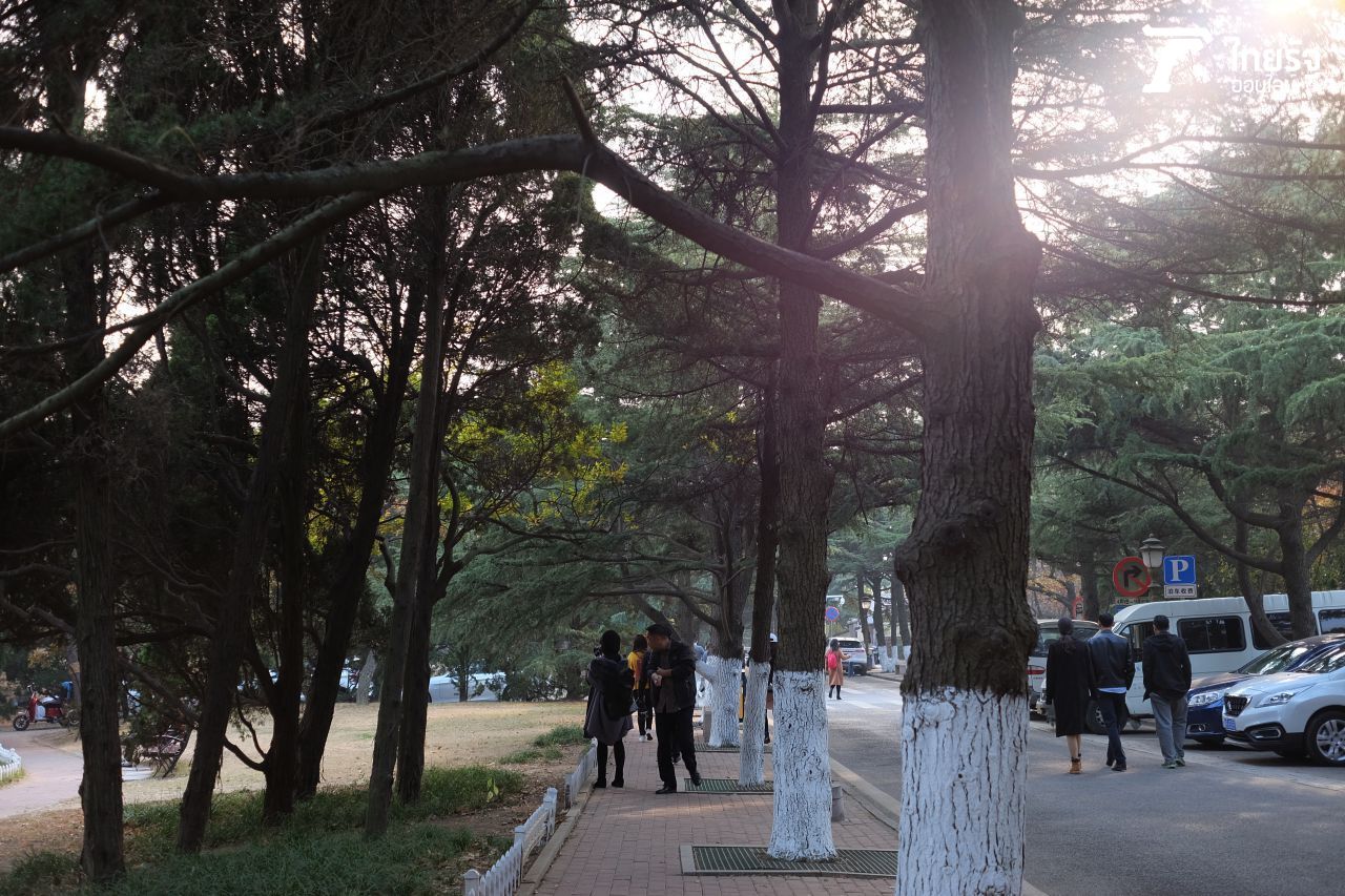 เดิน เดิน เดิน และ เดิน