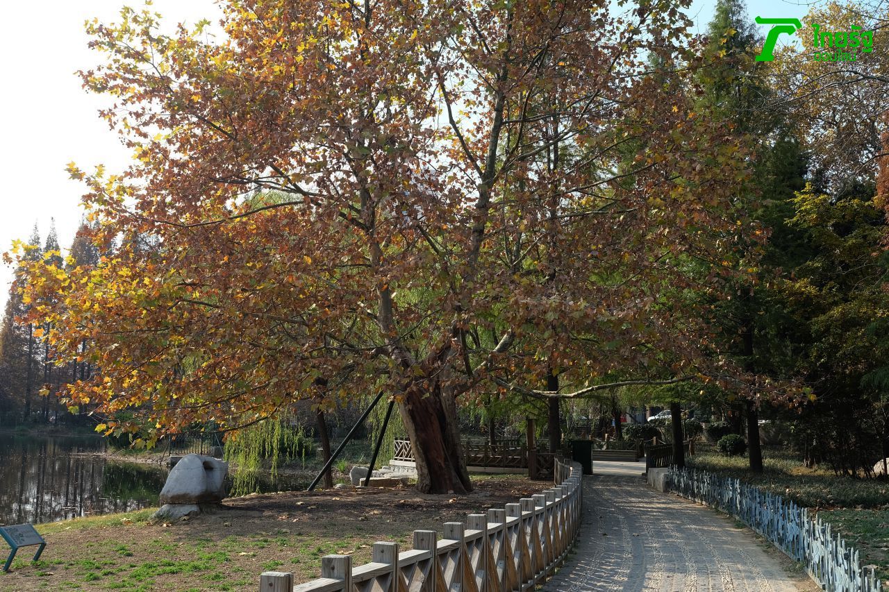 มีแดดรำไรแบบนี้ อากาศ แค่6 องศานะจ้ะ