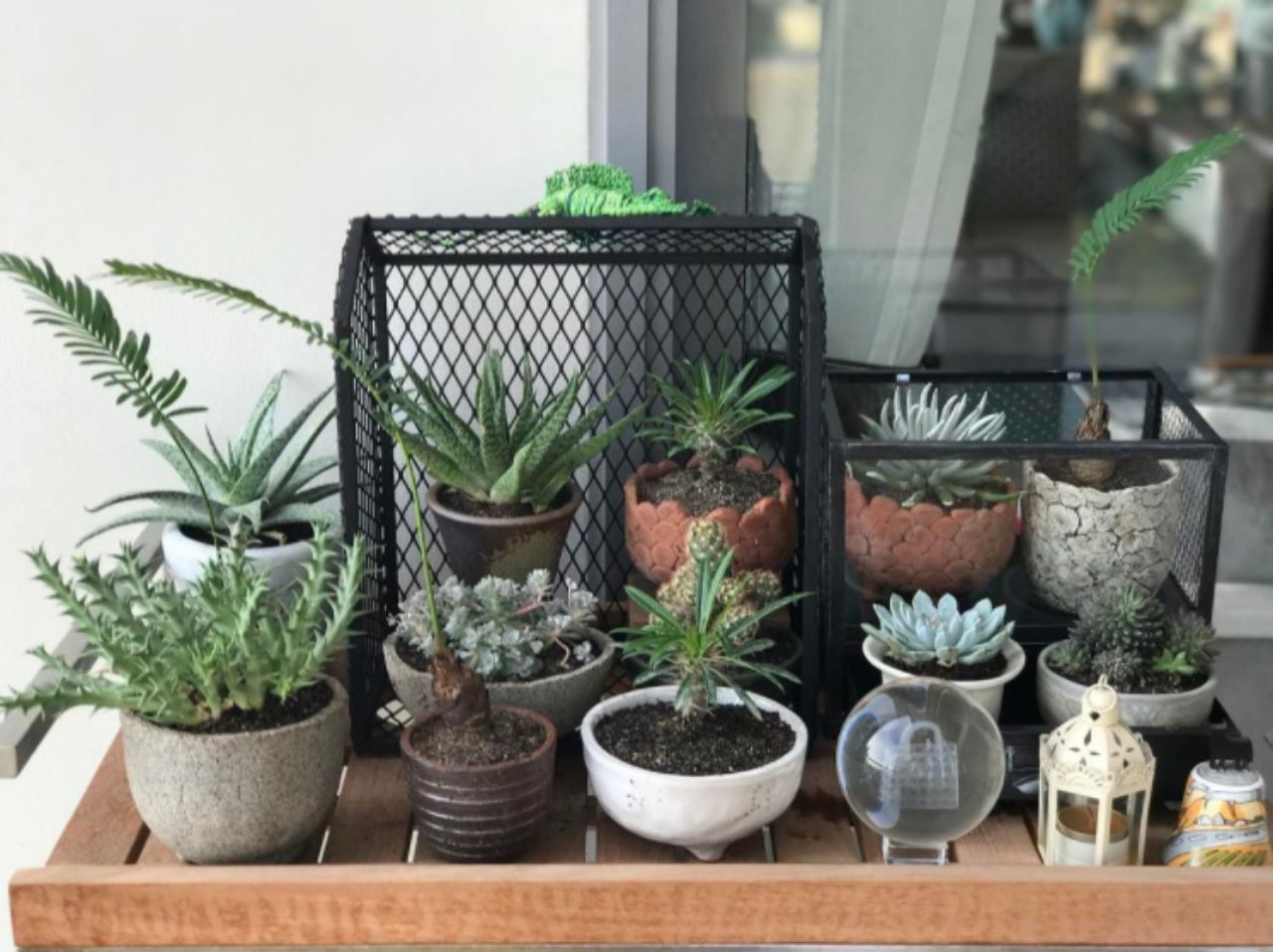 เห็นเขียวๆแล้วชื่นใจ