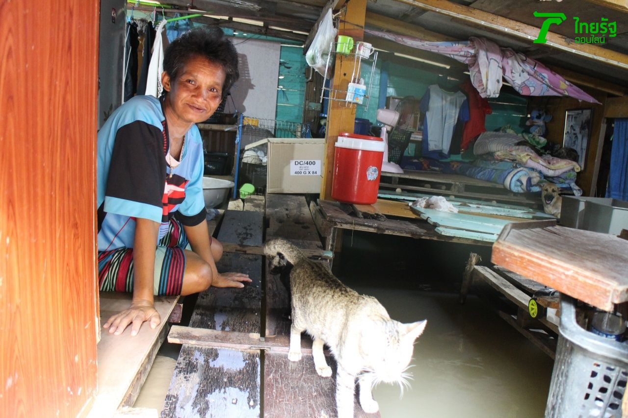 นางขวัญเรือน แก้วนันทะ กับแมวที่ไม่เคยคิดทอดทิ้ง