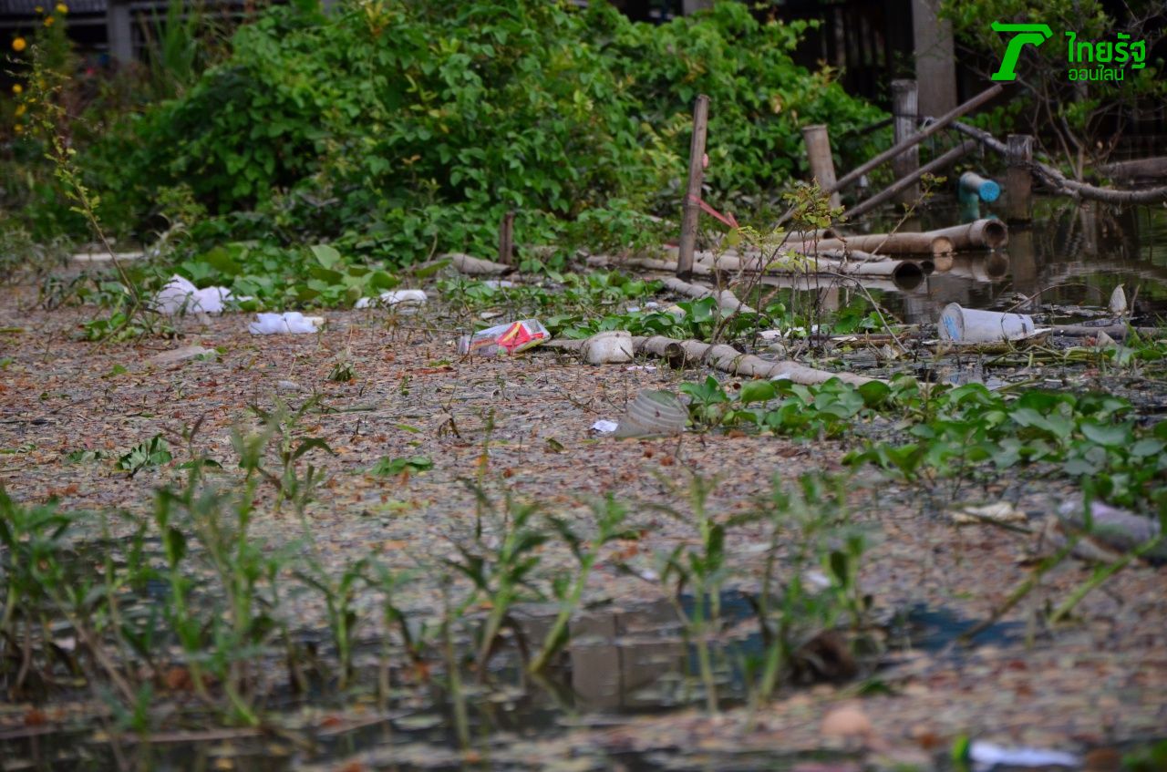 น้ำเน่าบริเวณบ้านเรือนประชาชนใน อ.บางไทร