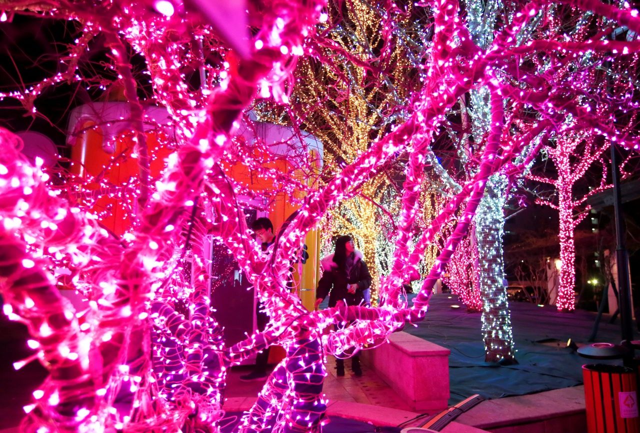 ต้นไม้ในงานเทศกาลแสงสีในกรุงปักกิ่ง