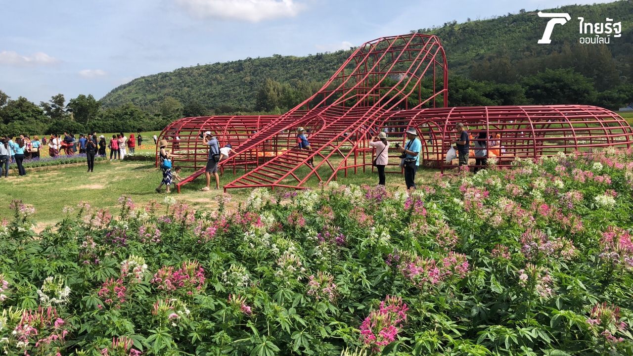 ลานจึ่งขึ่งดังแดง