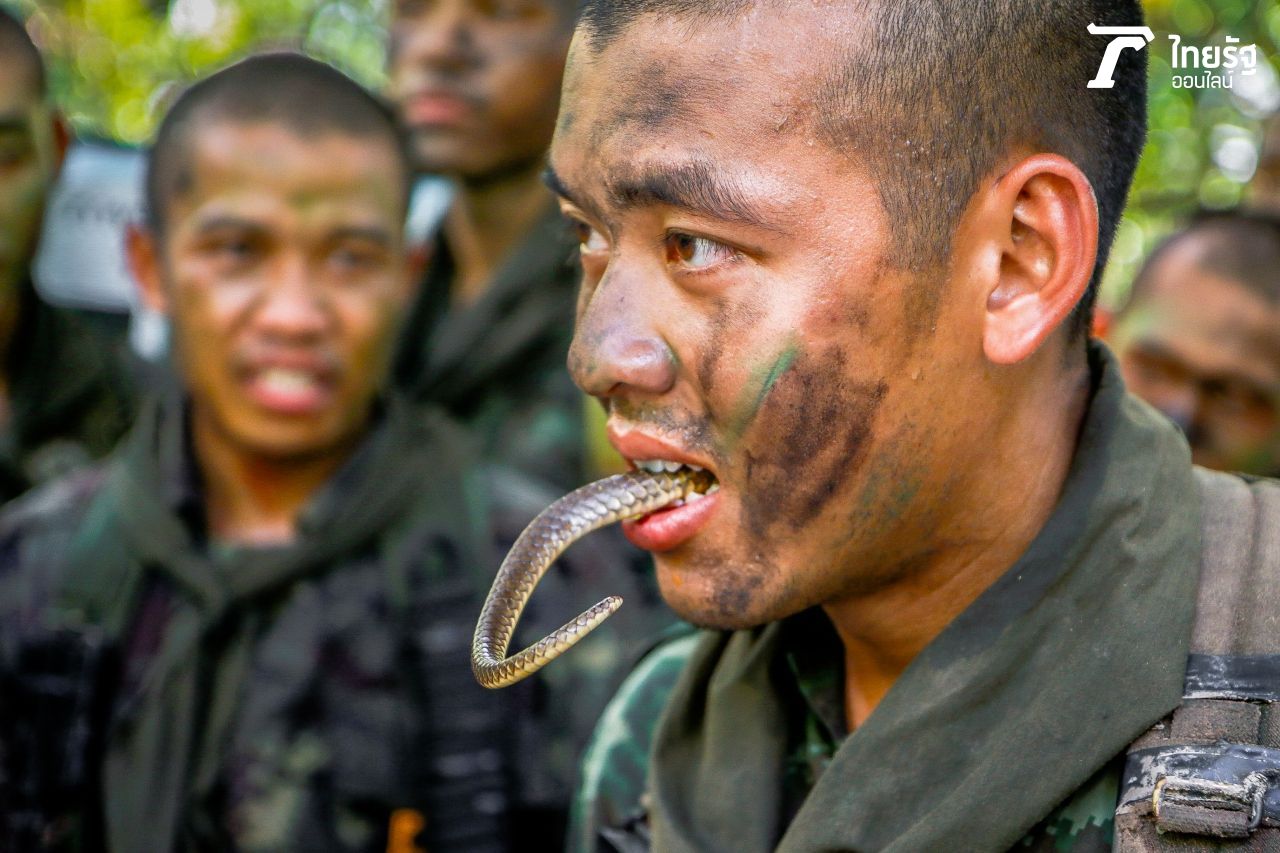 นักเรียนจู่โจม C-10