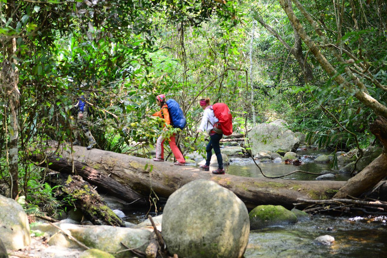 เดิน ไปหาโมโกจู